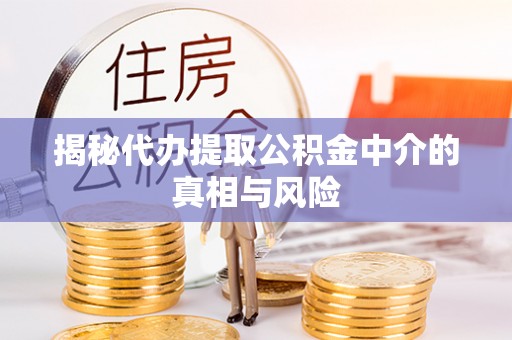 崇州揭秘代办提取公积金中介的真相与风险