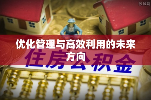 崇州优化管理与高效利用的未来方向