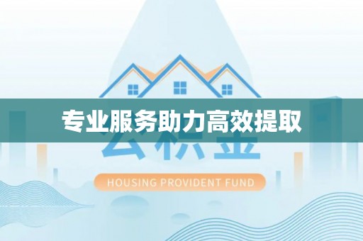 崇州专业服务助力高效提取